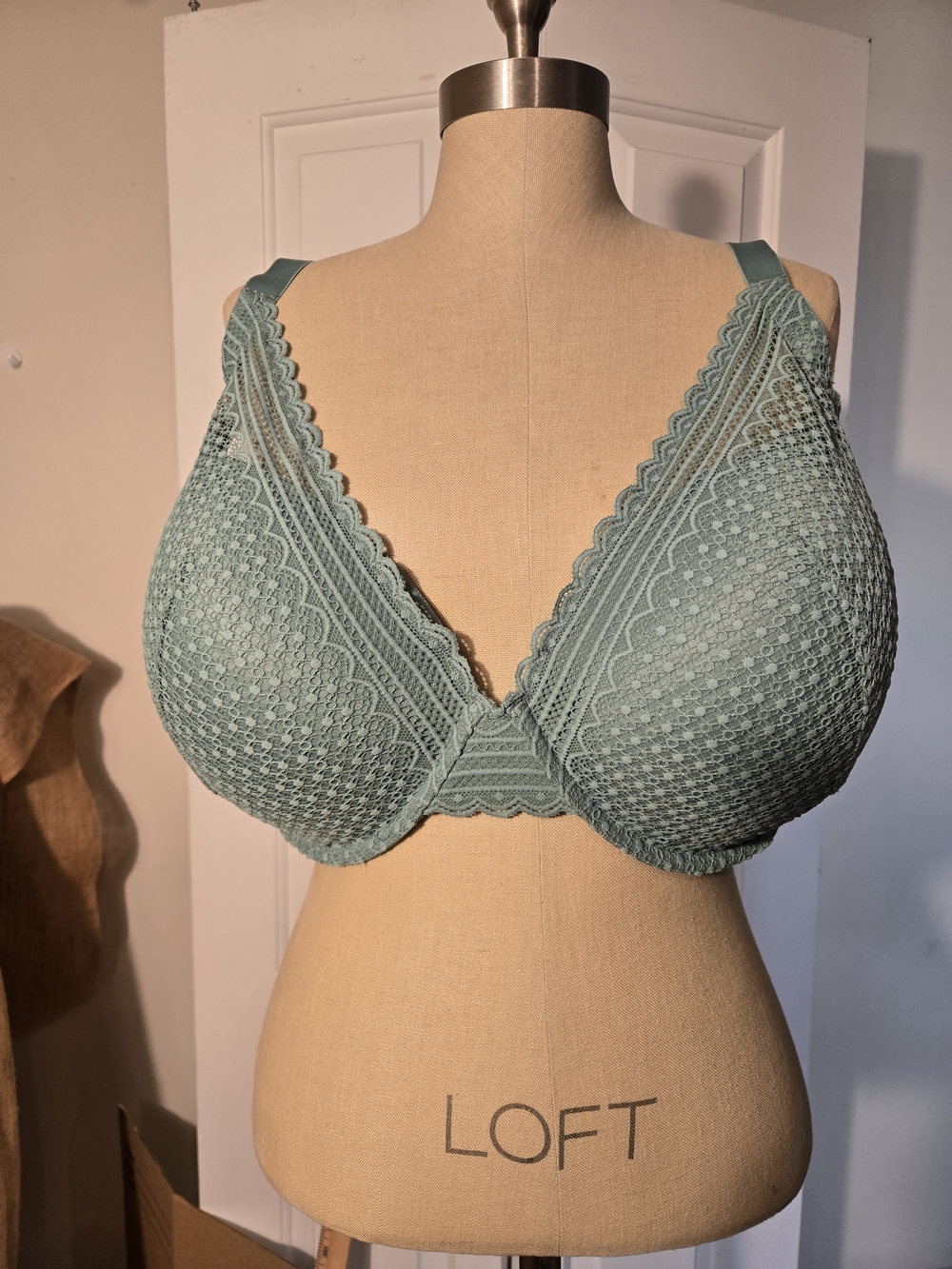 Auden Lace Plunge Bralette in Dusty Green